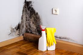 Mold Removal for HVAC Installations in Mission Viejo, CA